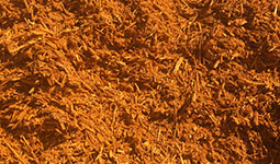 Gold Designer Colored Mulch
