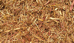 Aromatic Eastern Red Cedar Mulch